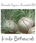 Emerald Cypress Pure Essential Oil 12ml